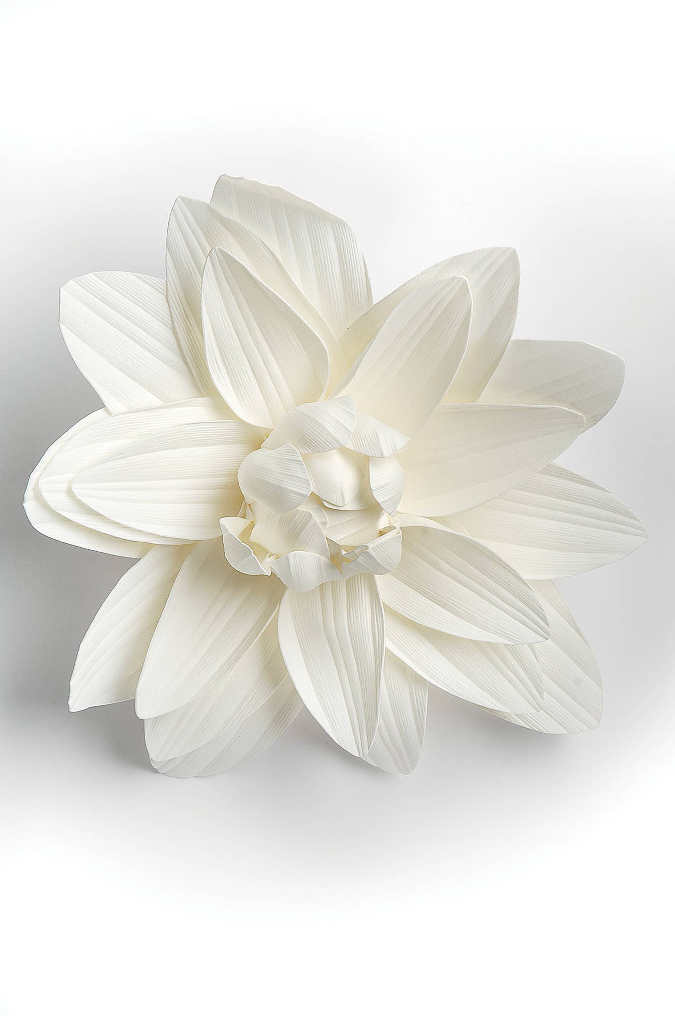 DAHLIA FOR WALL 17.5" D WHITE