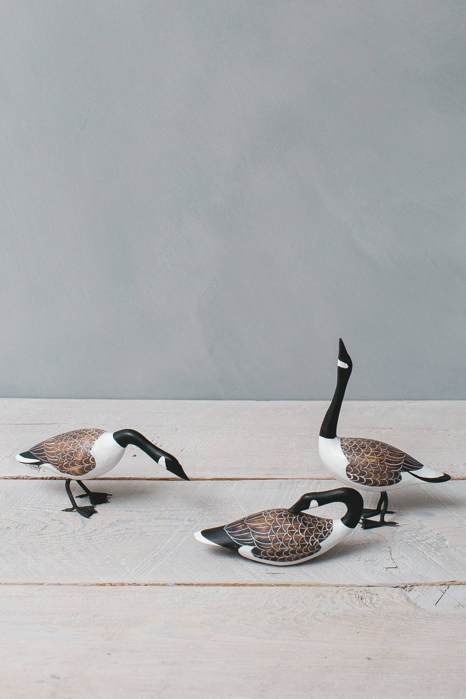 Canada Goose - Flying Set of 5 - 22"L  -Carved Ornament
