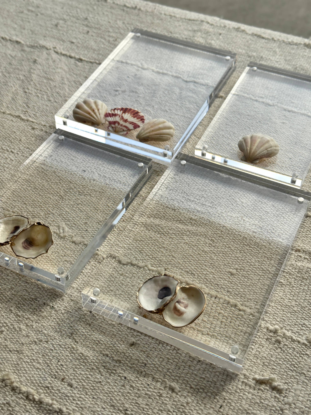 Oyster Acrylic Frames