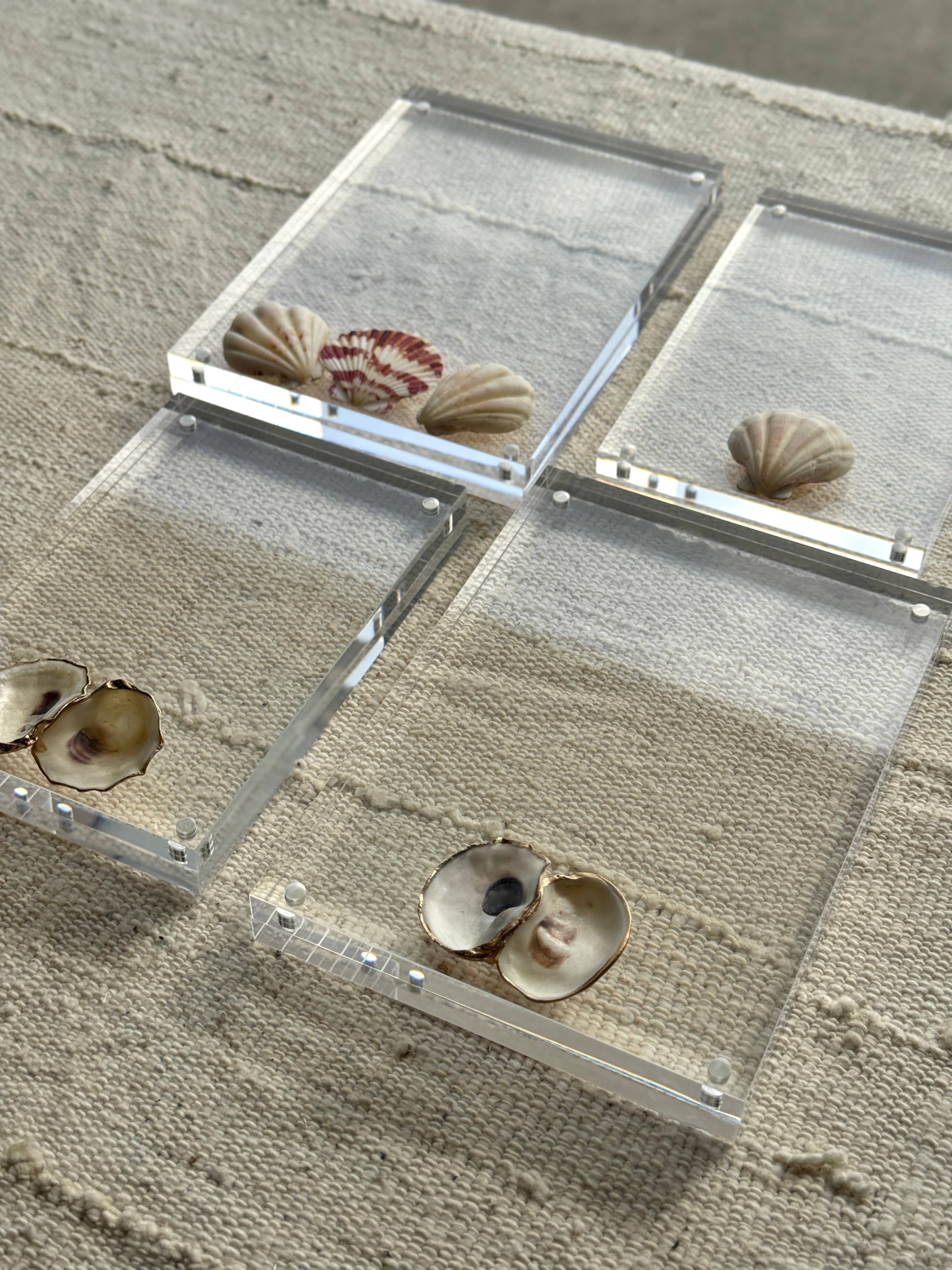 Oyster Acrylic Frames