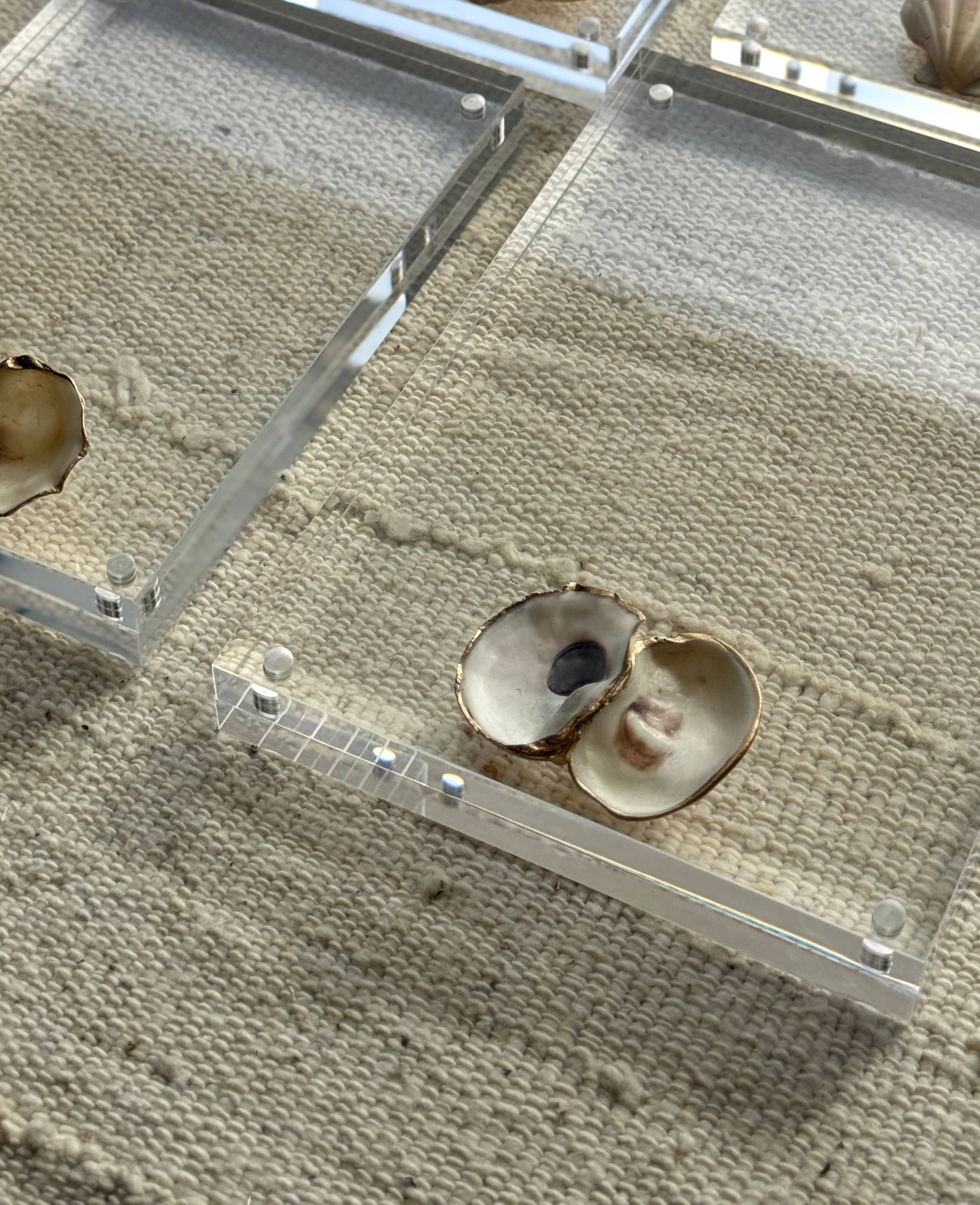 Oyster Acrylic Frames