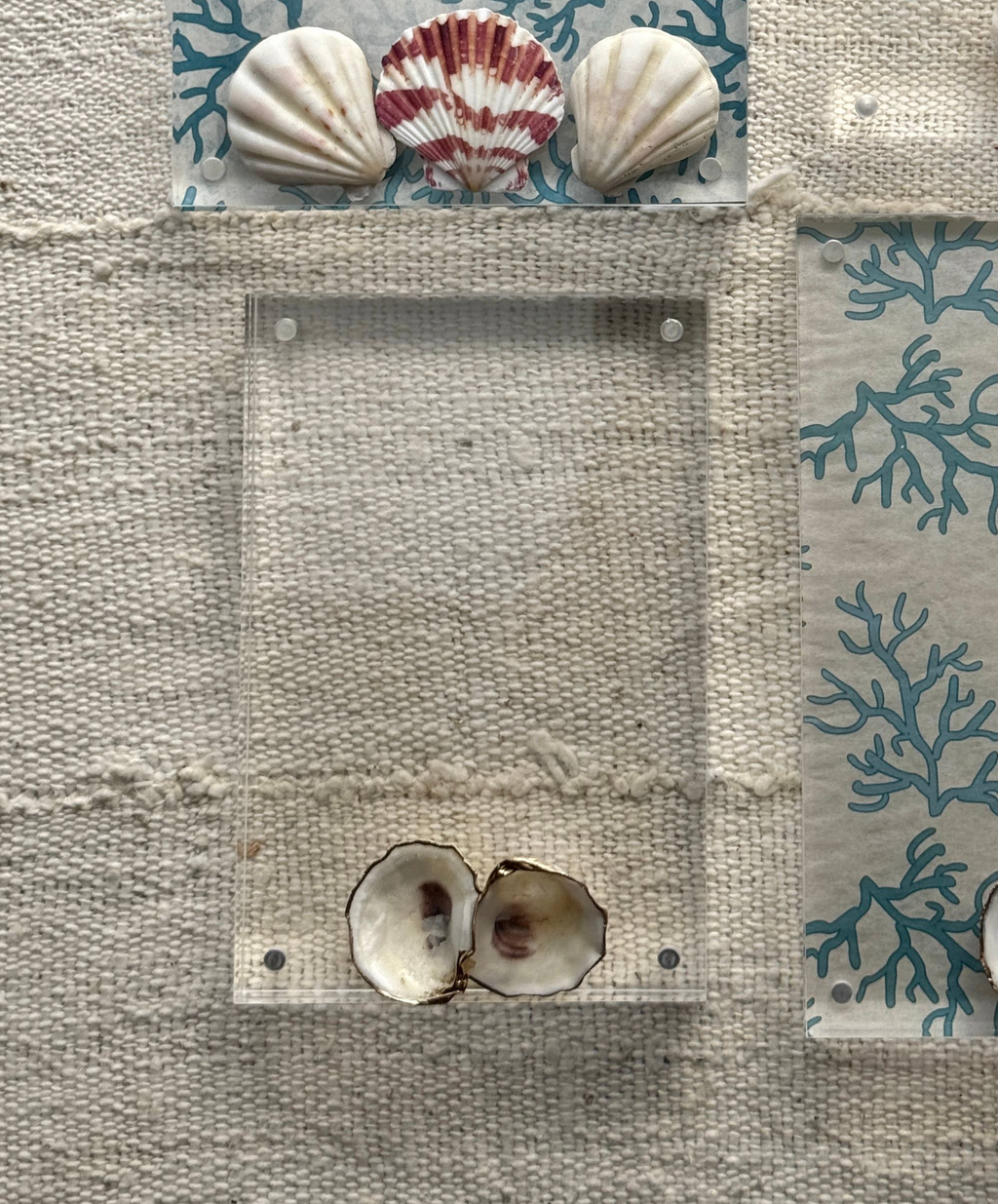 Oyster Acrylic Frames