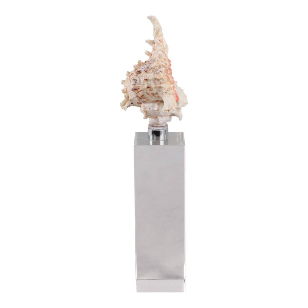 Sculpture - Ivory Shell on Clear Crystal Base, 10 in.