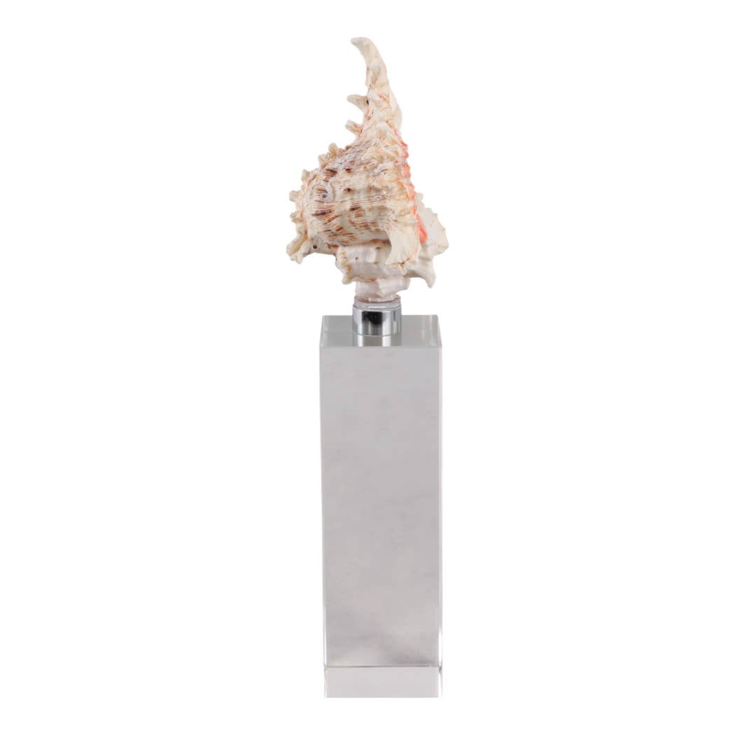 Sculpture - Ivory Shell on Clear Crystal Base, 10 in.