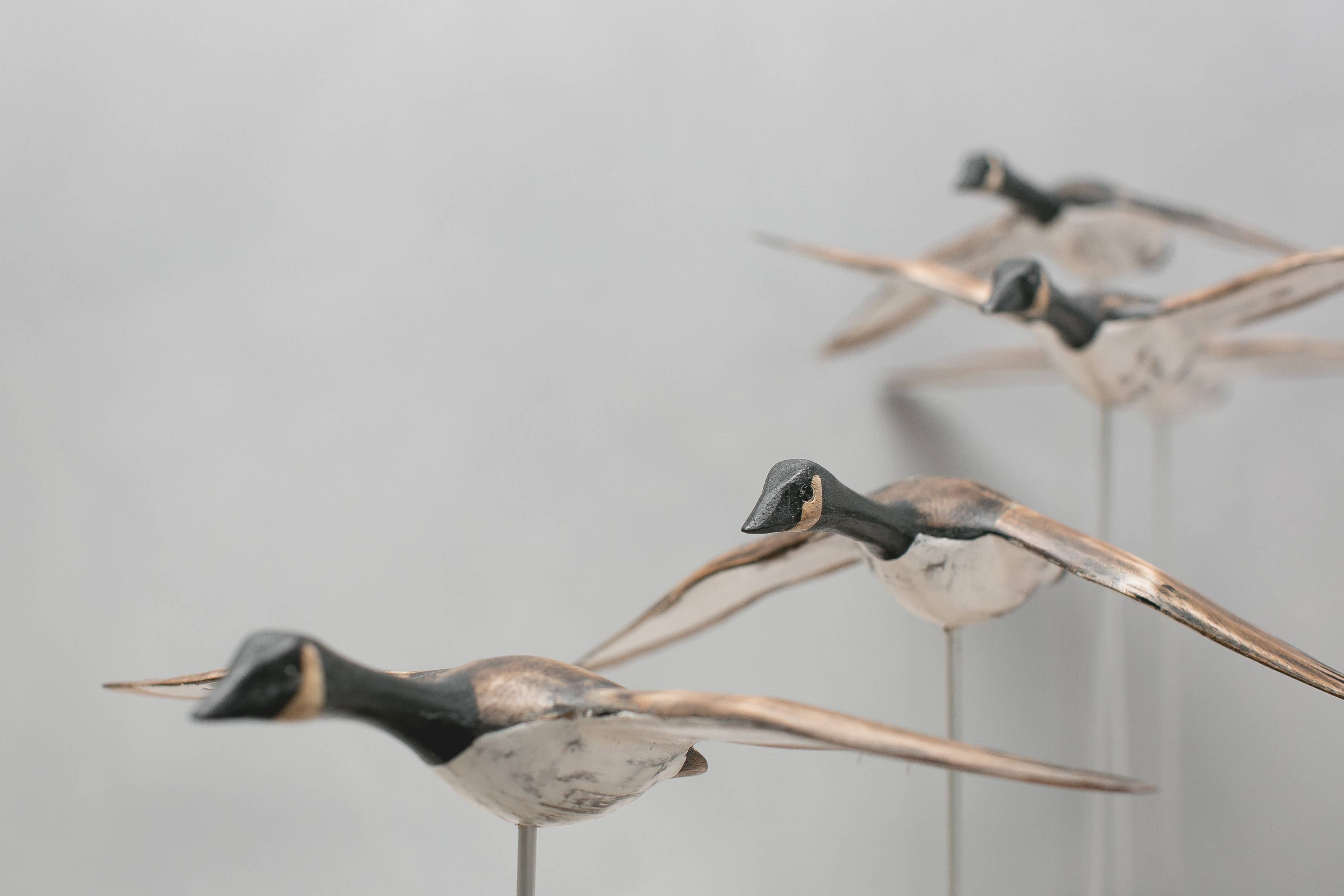 Canada Goose - Flying Set of 5 - 22"L  -Carved Ornament