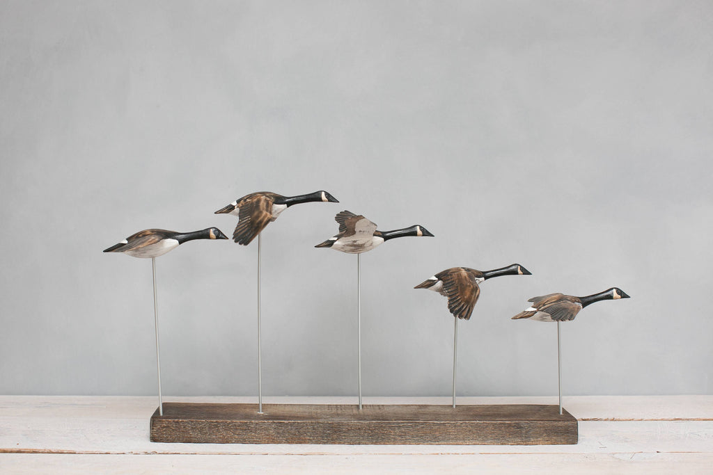 Canada Goose - Flying Set of 5 - 22"L  -Carved Ornament