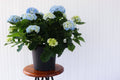 10" Hydrangea