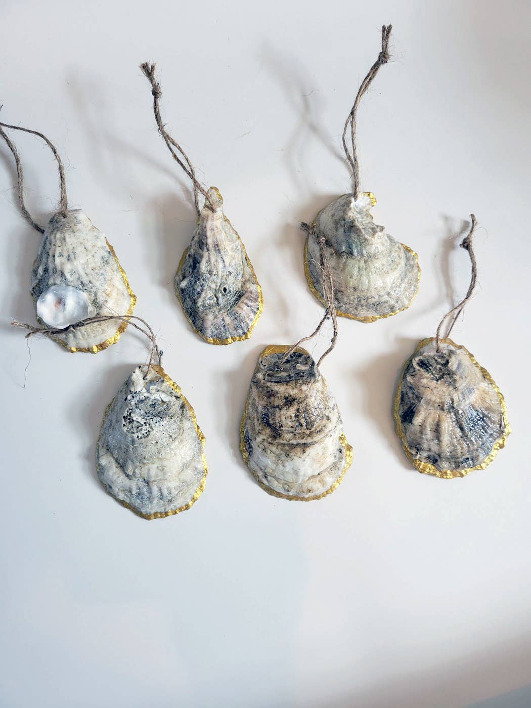 Contemporary Gilded Rimmed Oyster Shell Ornaments, Set of 6