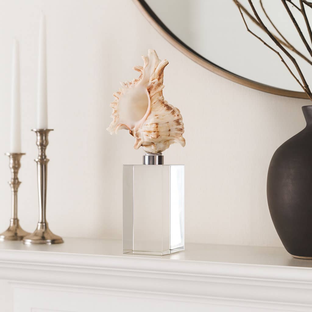 Sculpture - Ivory Shell on Clear Crystal Base, 8 in.