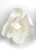 GARDENIA FOR WALL 22.5"D WHITE