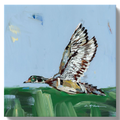 "Woodduck Greens" canvas print