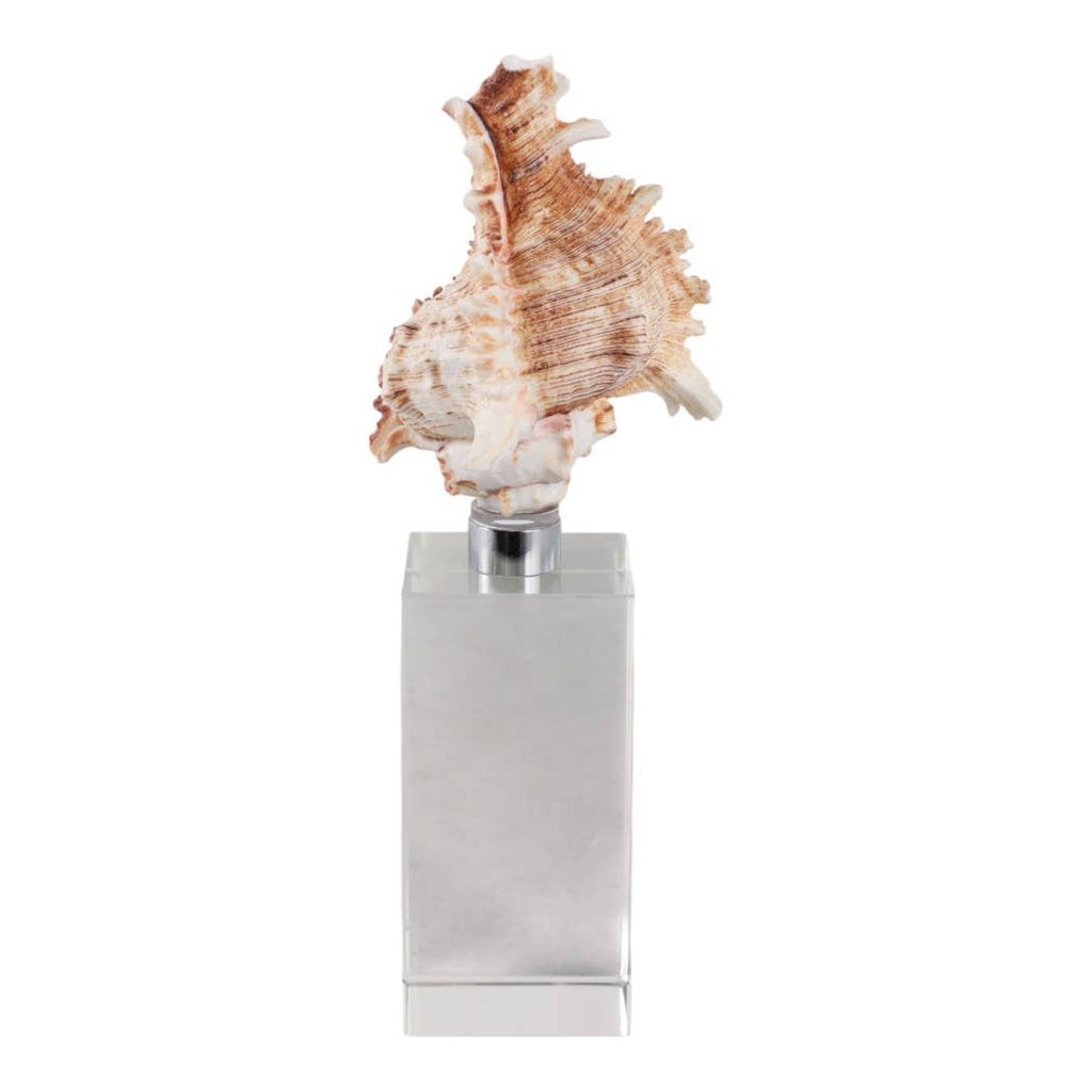 Sculpture - Ivory Shell on Clear Crystal Base, 8 in.