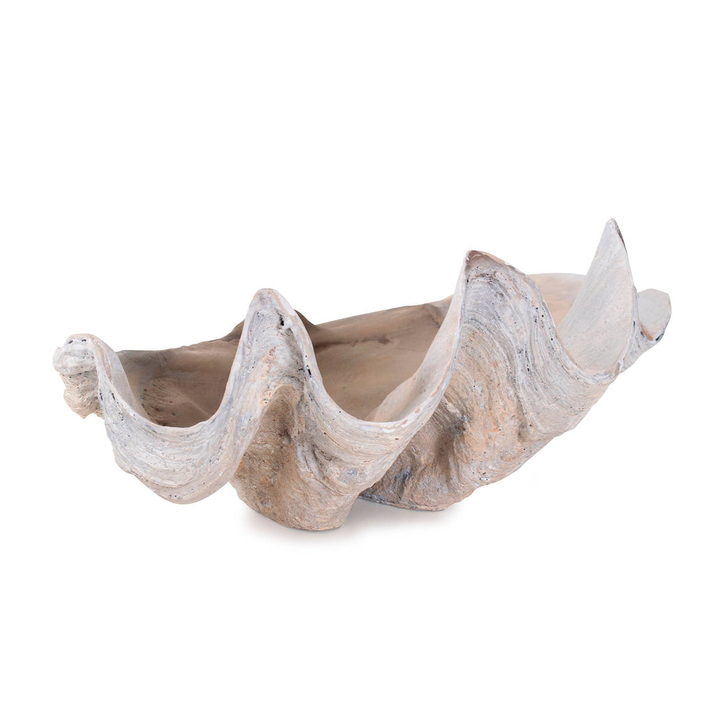 Large Vongole Sculpture
