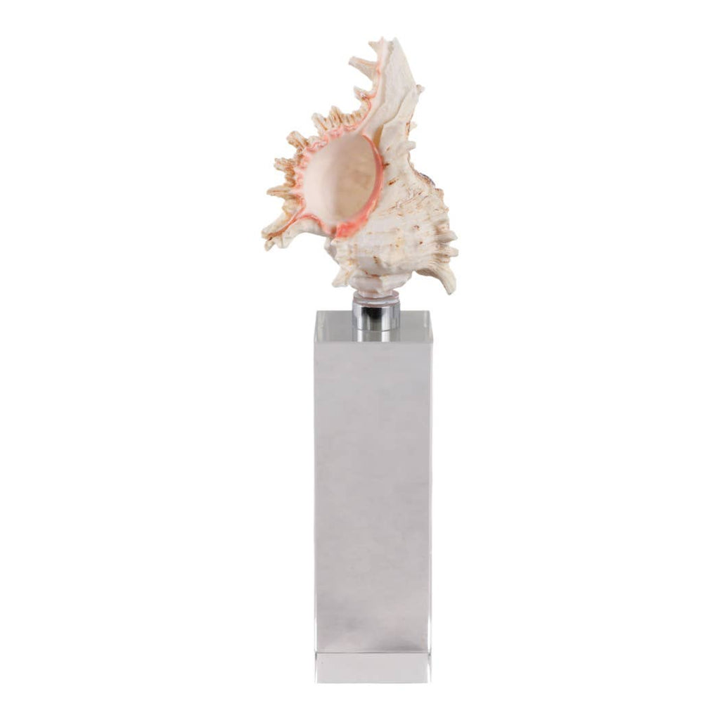 Sculpture - Ivory Shell on Clear Crystal Base, 10 in.