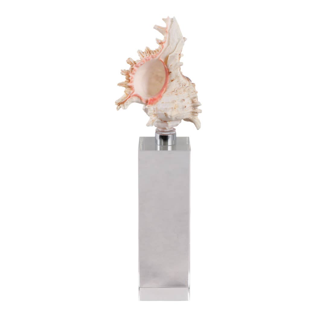 Sculpture - Ivory Shell on Clear Crystal Base, 10 in.