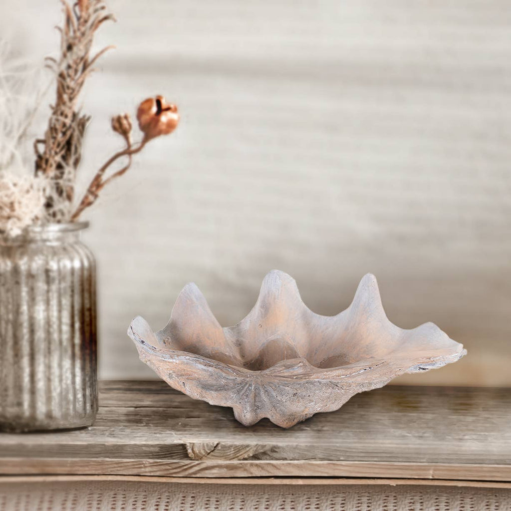 Large Vongole Sculpture