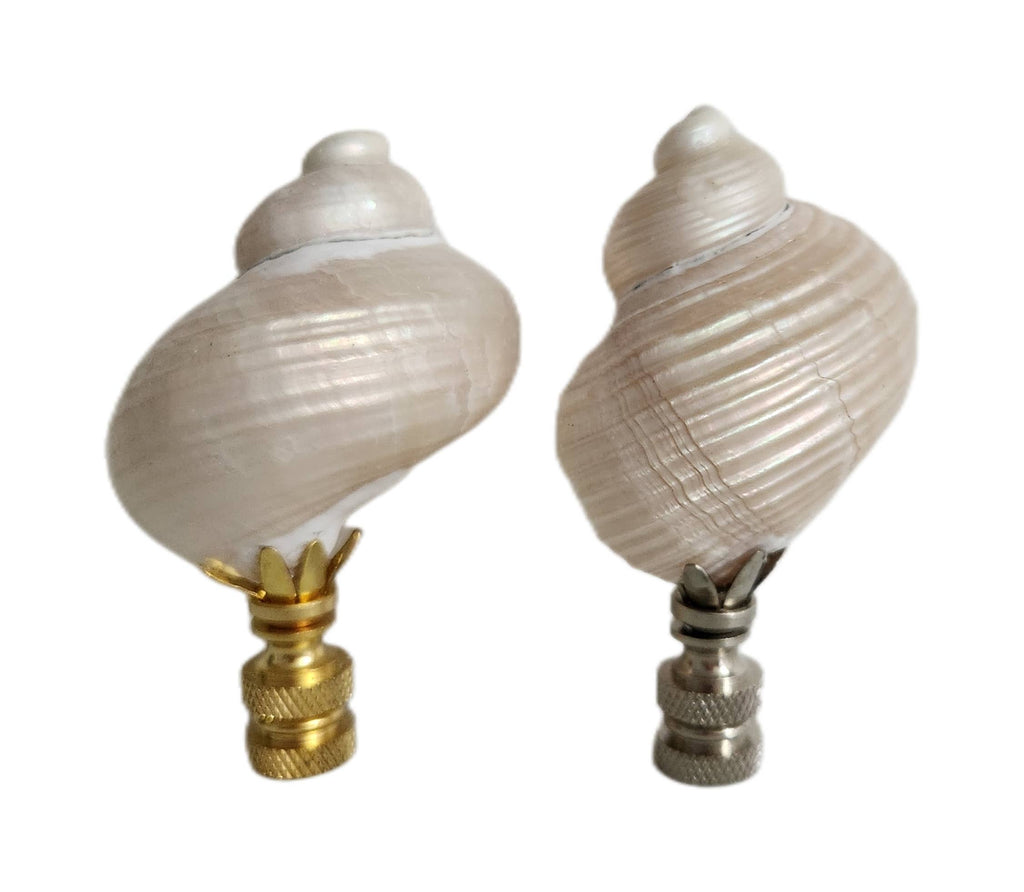 Pair, Turbo Pearl Setosus Sea Shell Lamp Finial, Set of 2