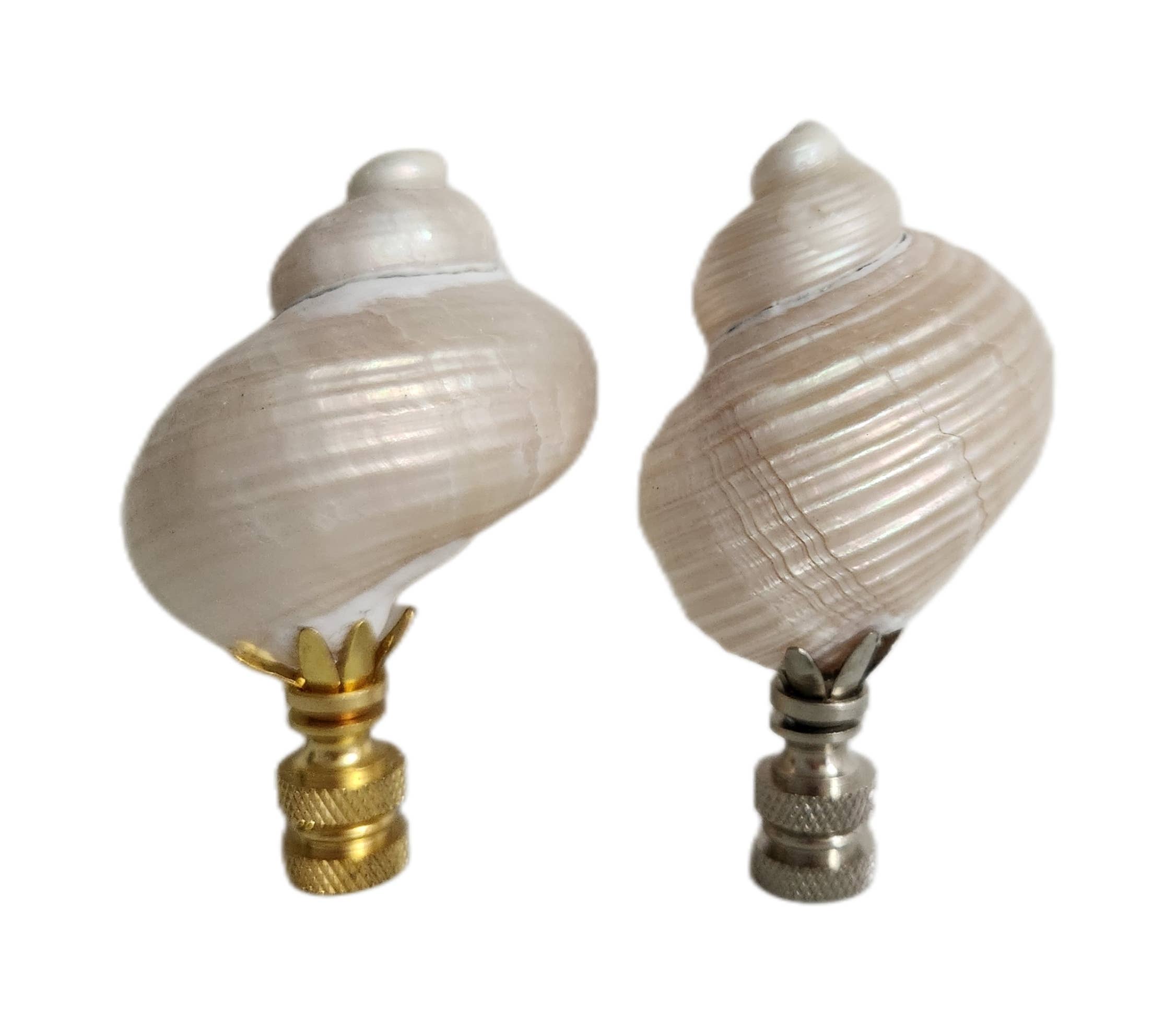 Pair, Turbo Pearl Setosus Sea Shell Lamp Finial, Set of 2