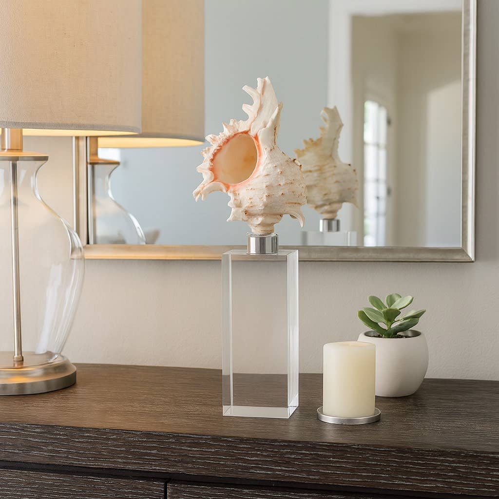 Sculpture - Ivory Shell on Clear Crystal Base, 10 in.