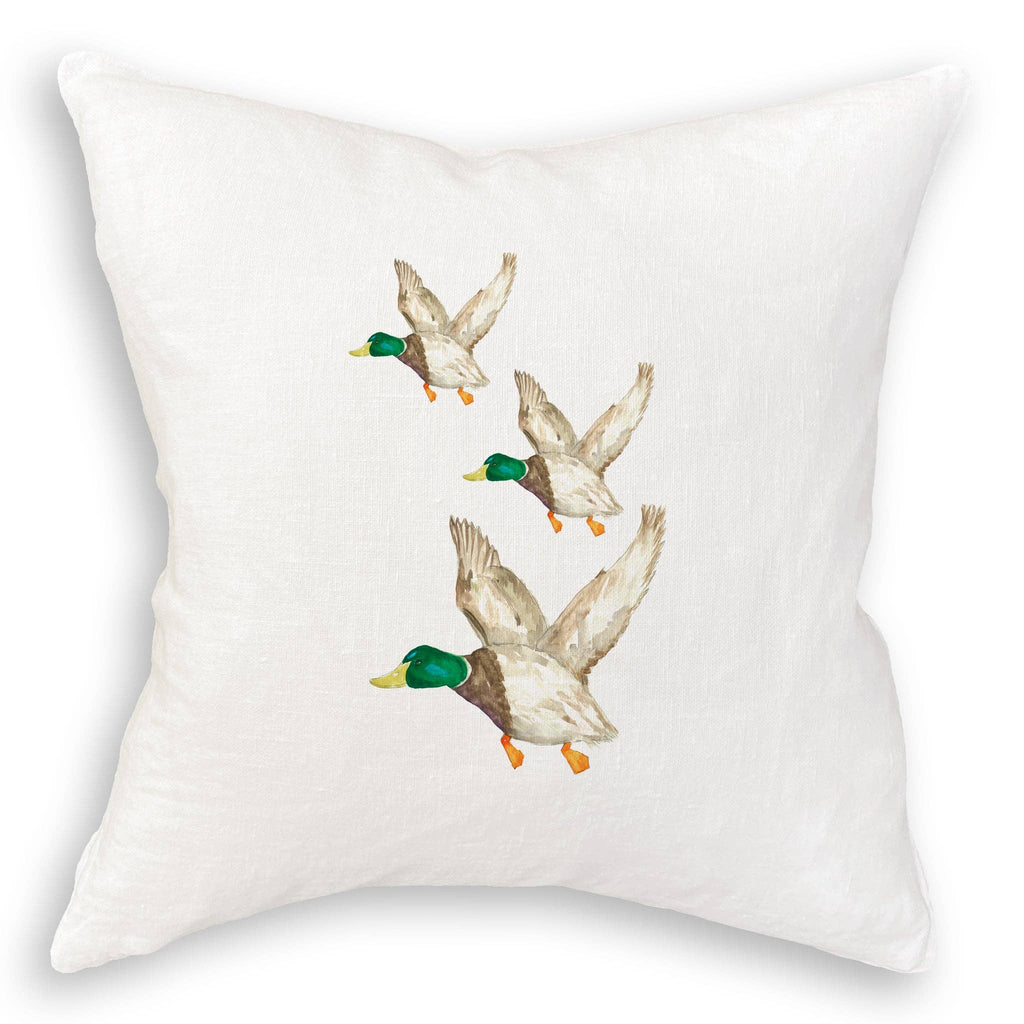 Mallard Duck