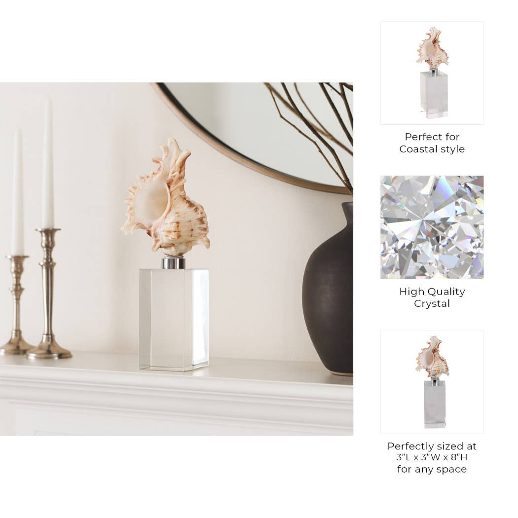 Sculpture - Ivory Shell on Clear Crystal Base, 8 in.