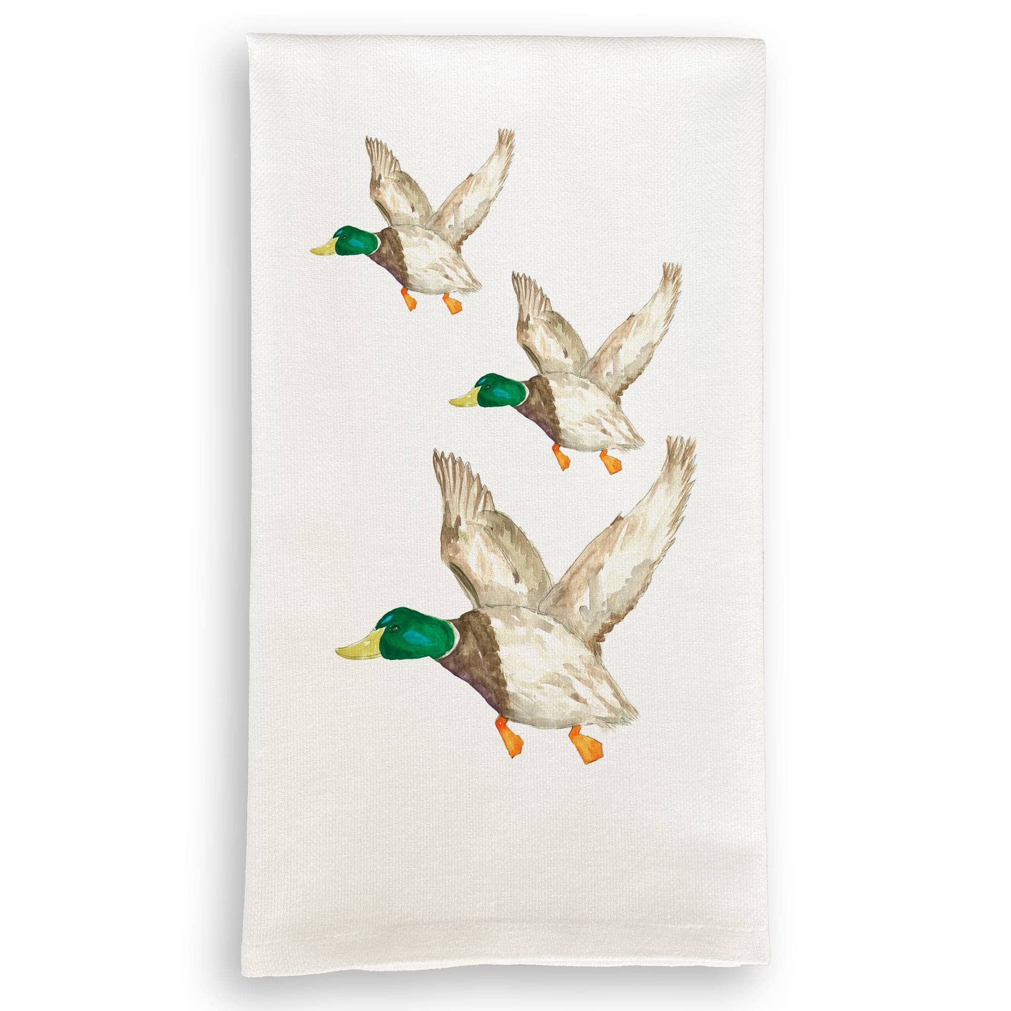 Mallard Duck