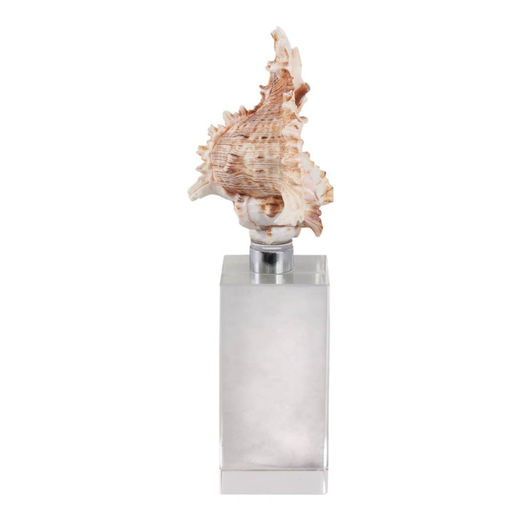 Sculpture - Ivory Shell on Clear Crystal Base, 8 in.
