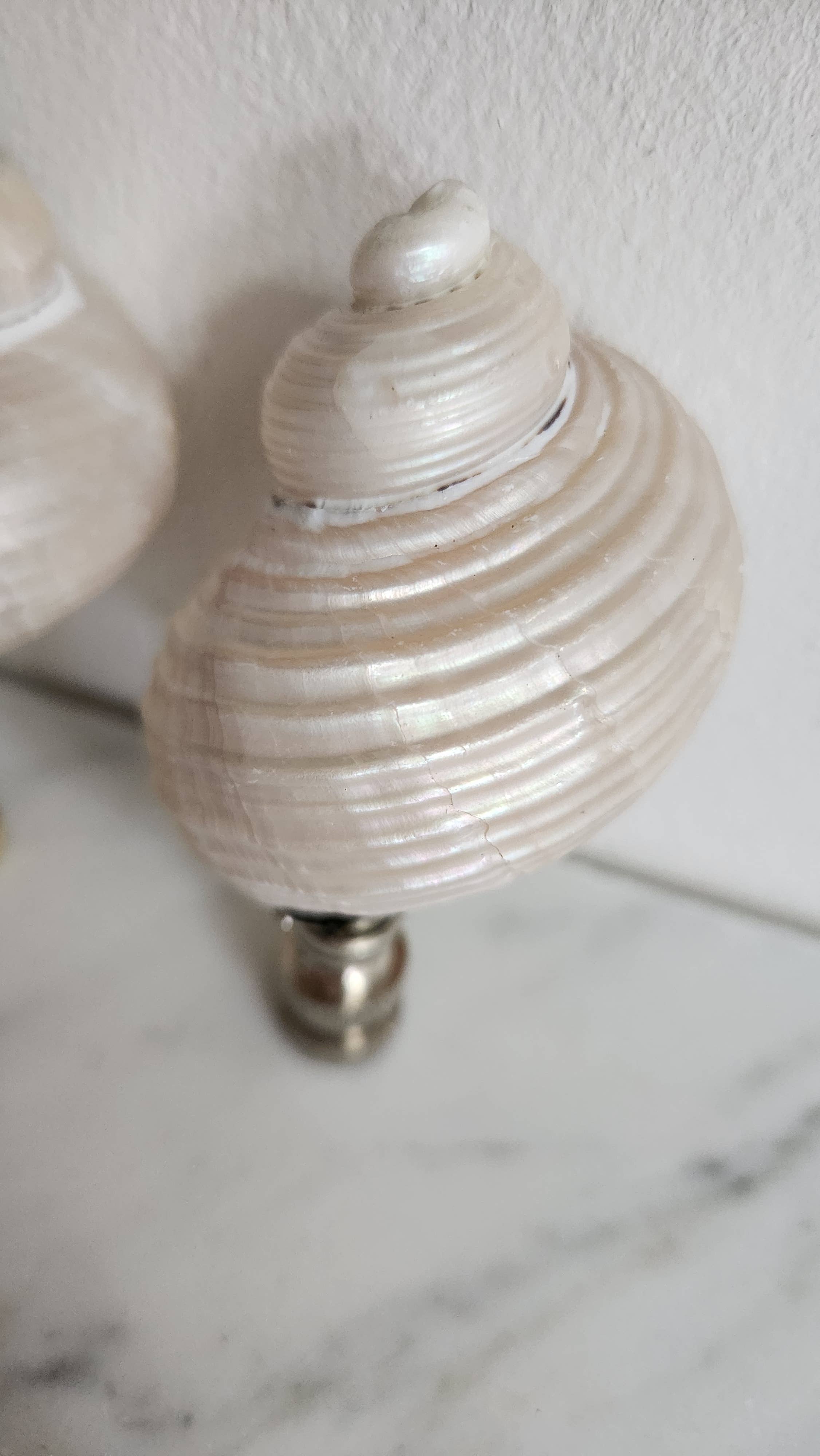 Pair, Turbo Pearl Setosus Sea Shell Lamp Finial, Set of 2