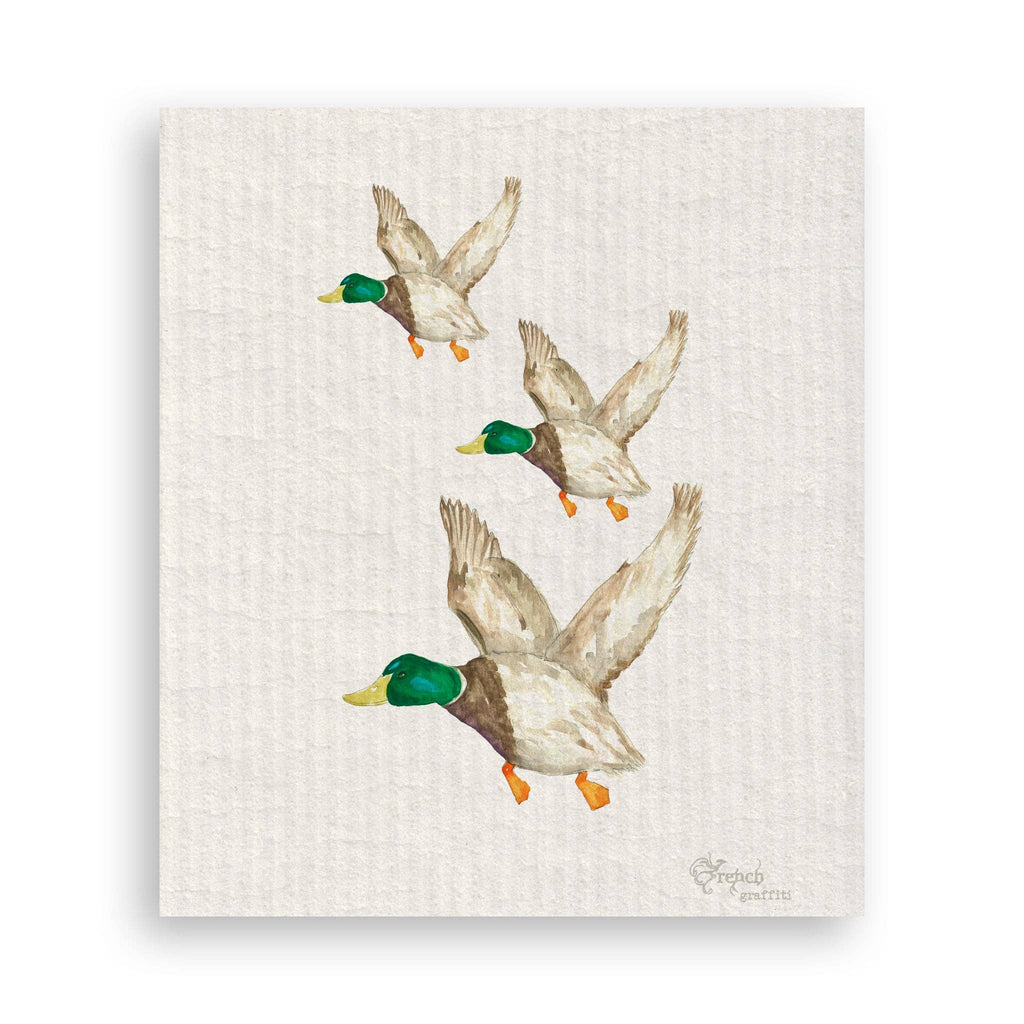 Mallard Duck