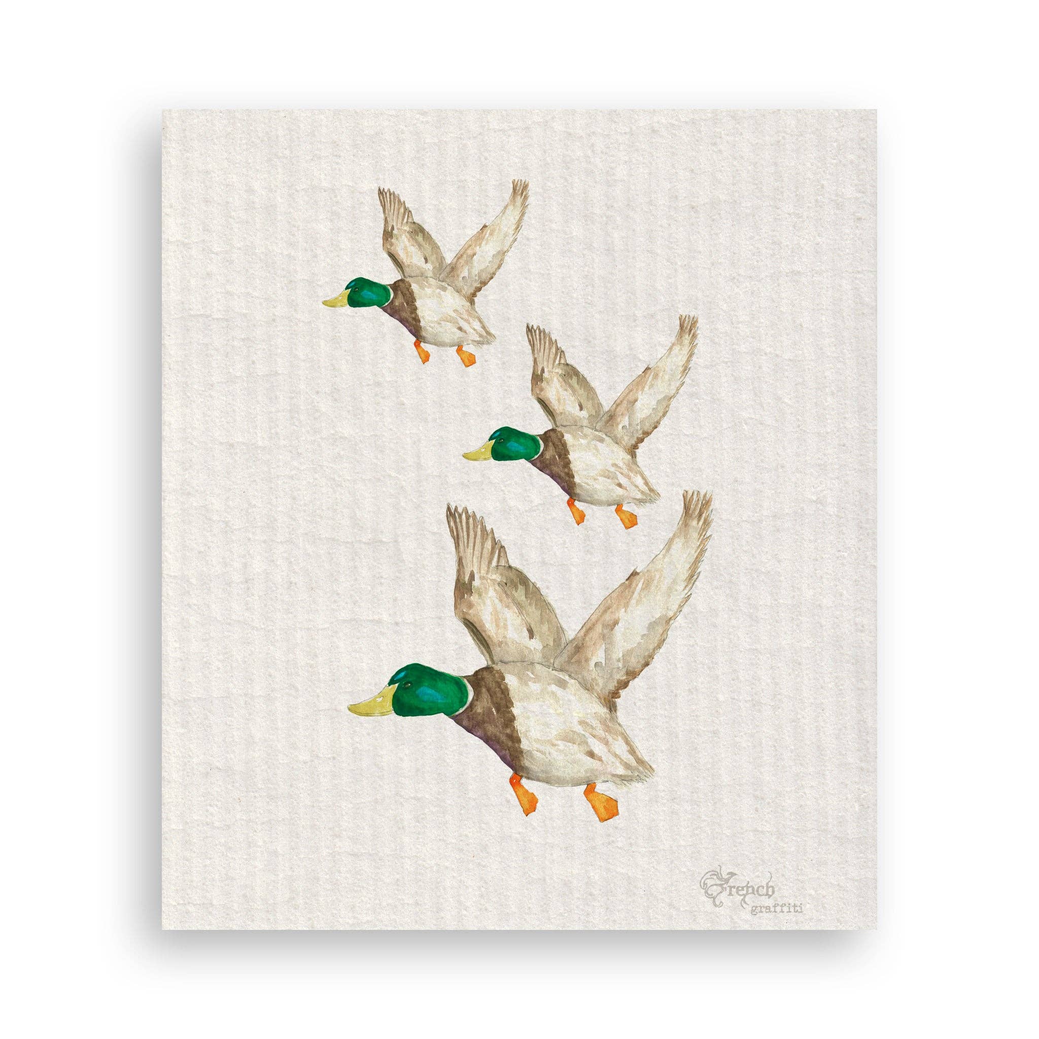 Mallard Duck
