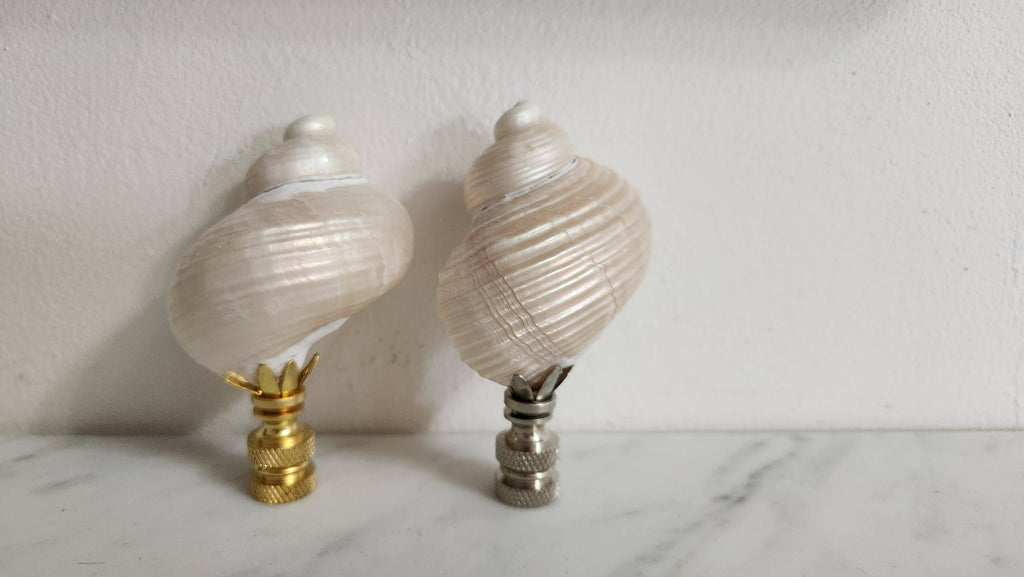 Pair, Turbo Pearl Setosus Sea Shell Lamp Finial, Set of 2