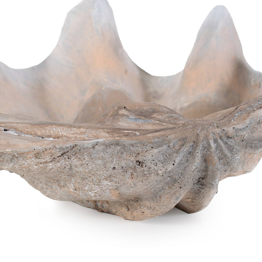Large Vongole Sculpture