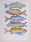 Limited Edition Fishies on White Flour Sack Towel