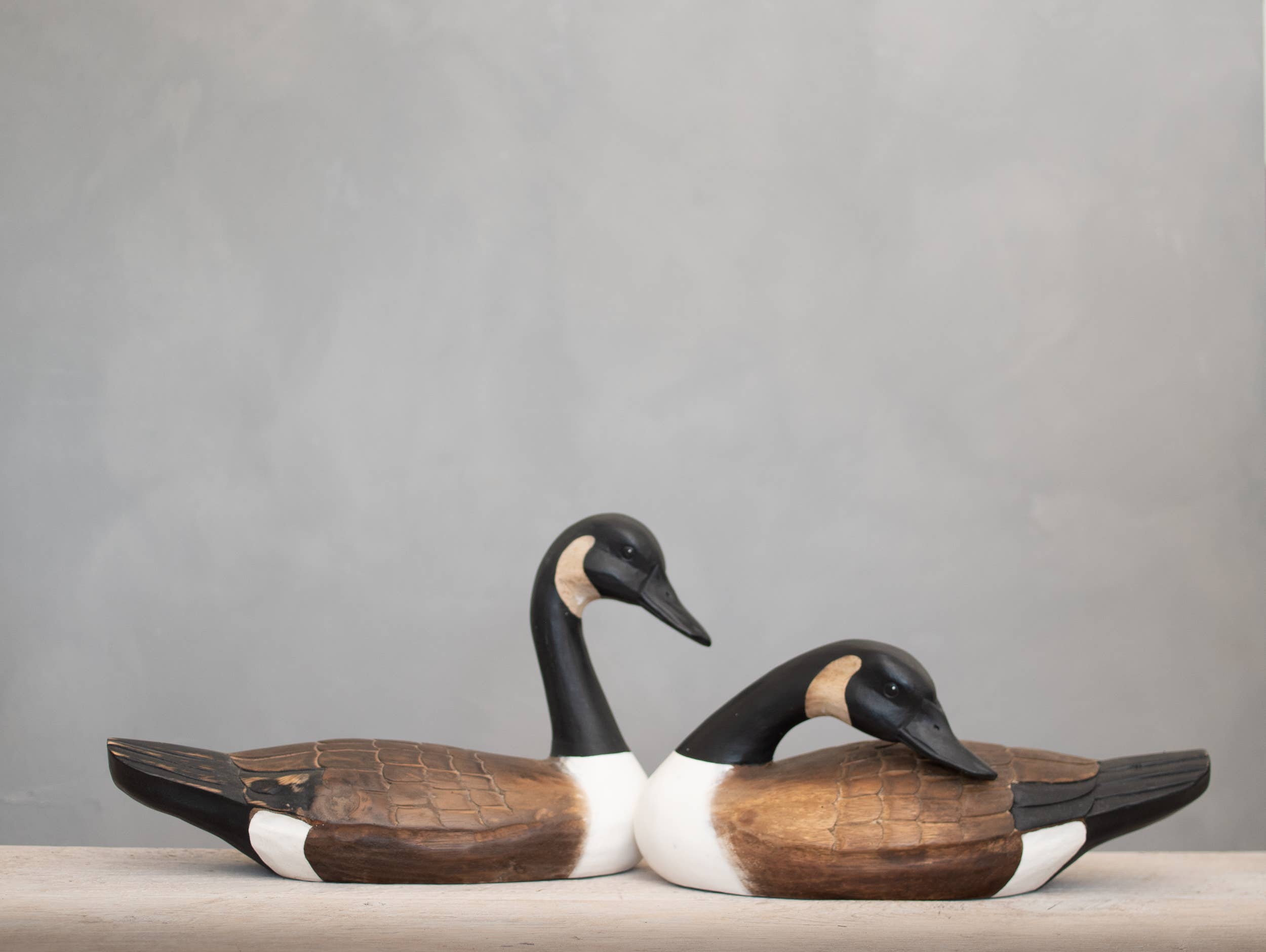 Canada Goose - Flying Set of 5 - 22"L  -Carved Ornament