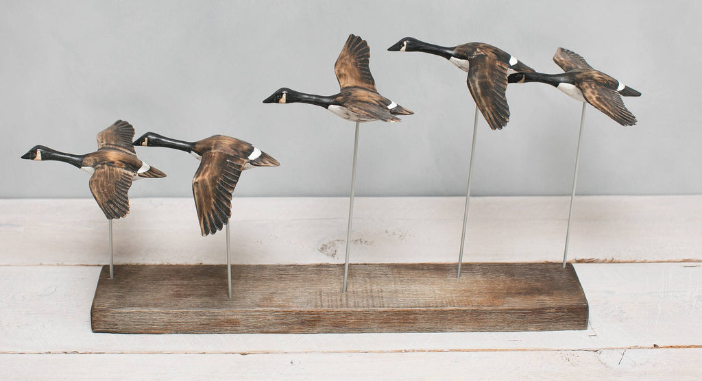 Canada Goose - Flying Set of 5 - 22"L  -Carved Ornament