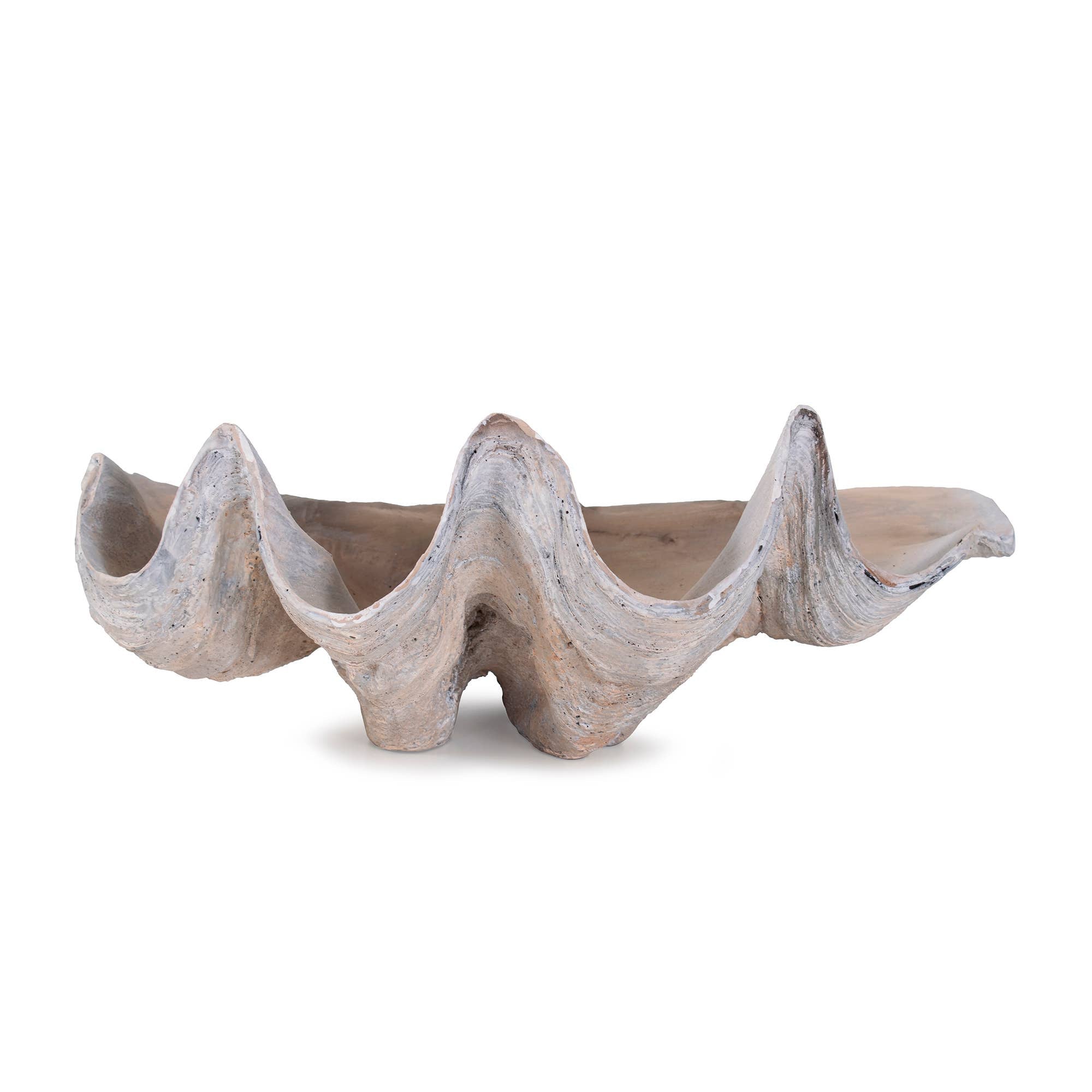 Large Vongole Sculpture
