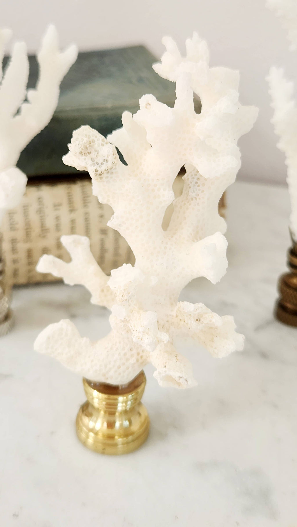 Coral Lamp Finial, Set of 4, As Shown