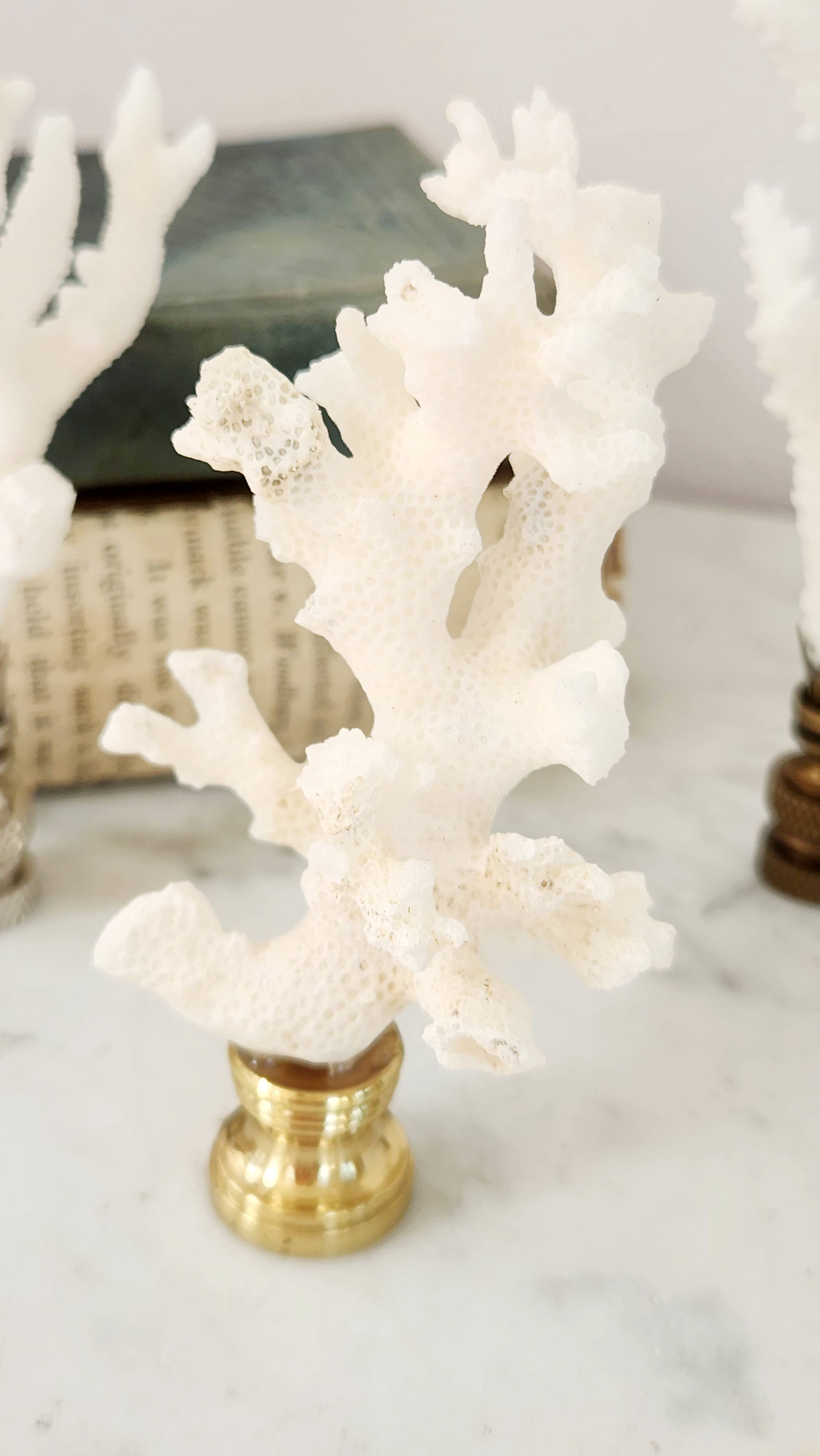 Coral Lamp Finial, Set of 4, As Shown