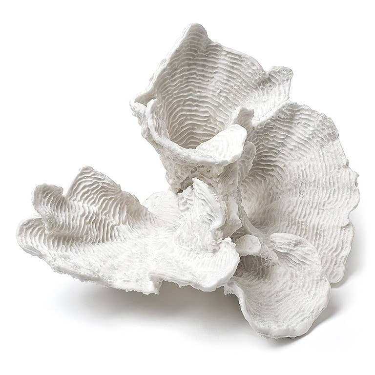Lg White Flower Coral-9"W-283