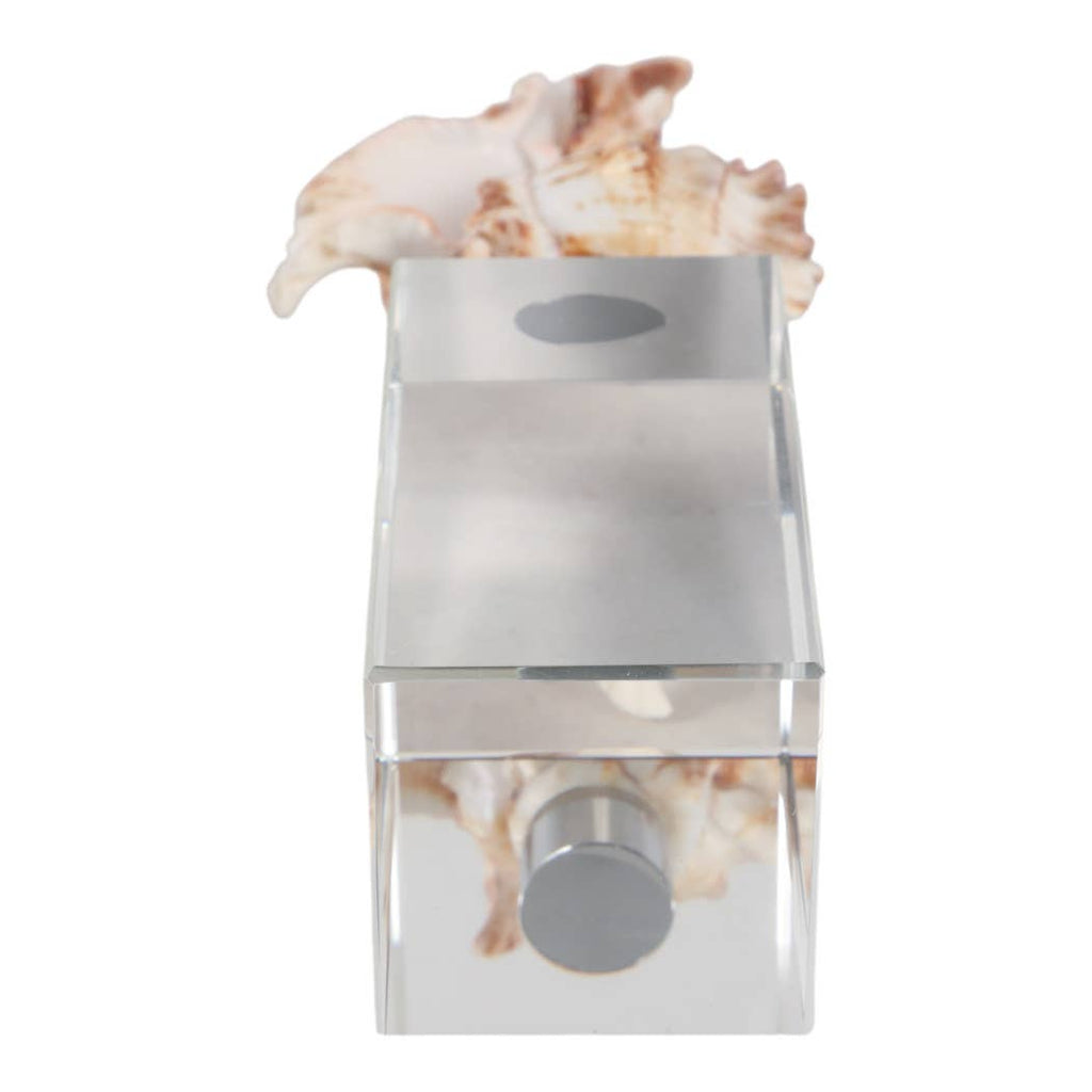 Sculpture - Ivory Shell on Clear Crystal Base, 8 in.