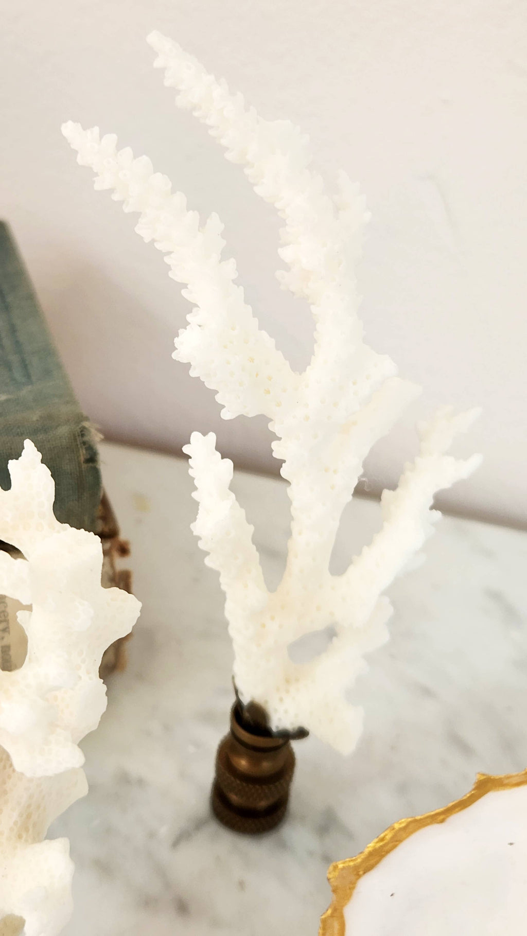 Coral Lamp Finial, Set of 4, As Shown