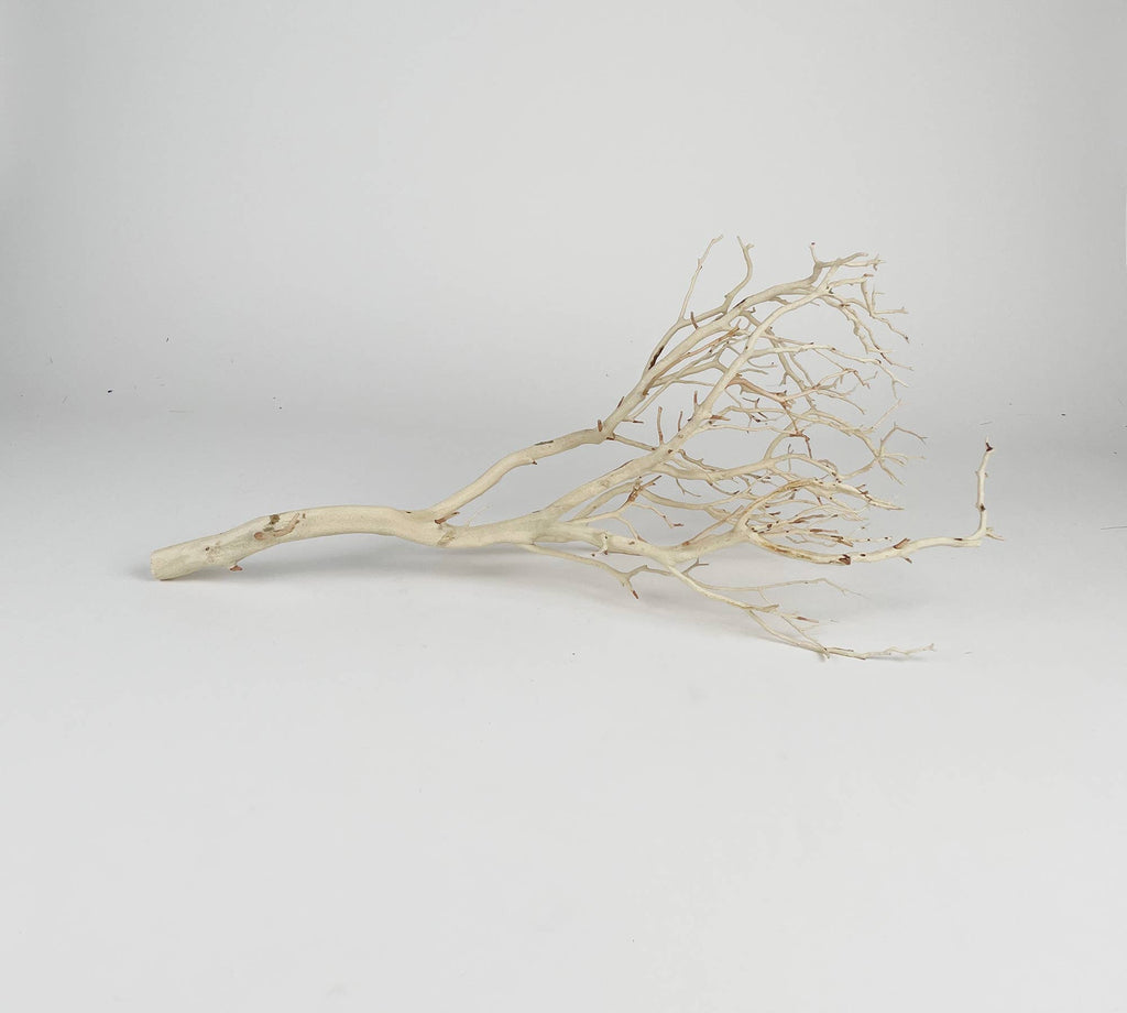 Manzanita Sandblasted Branches