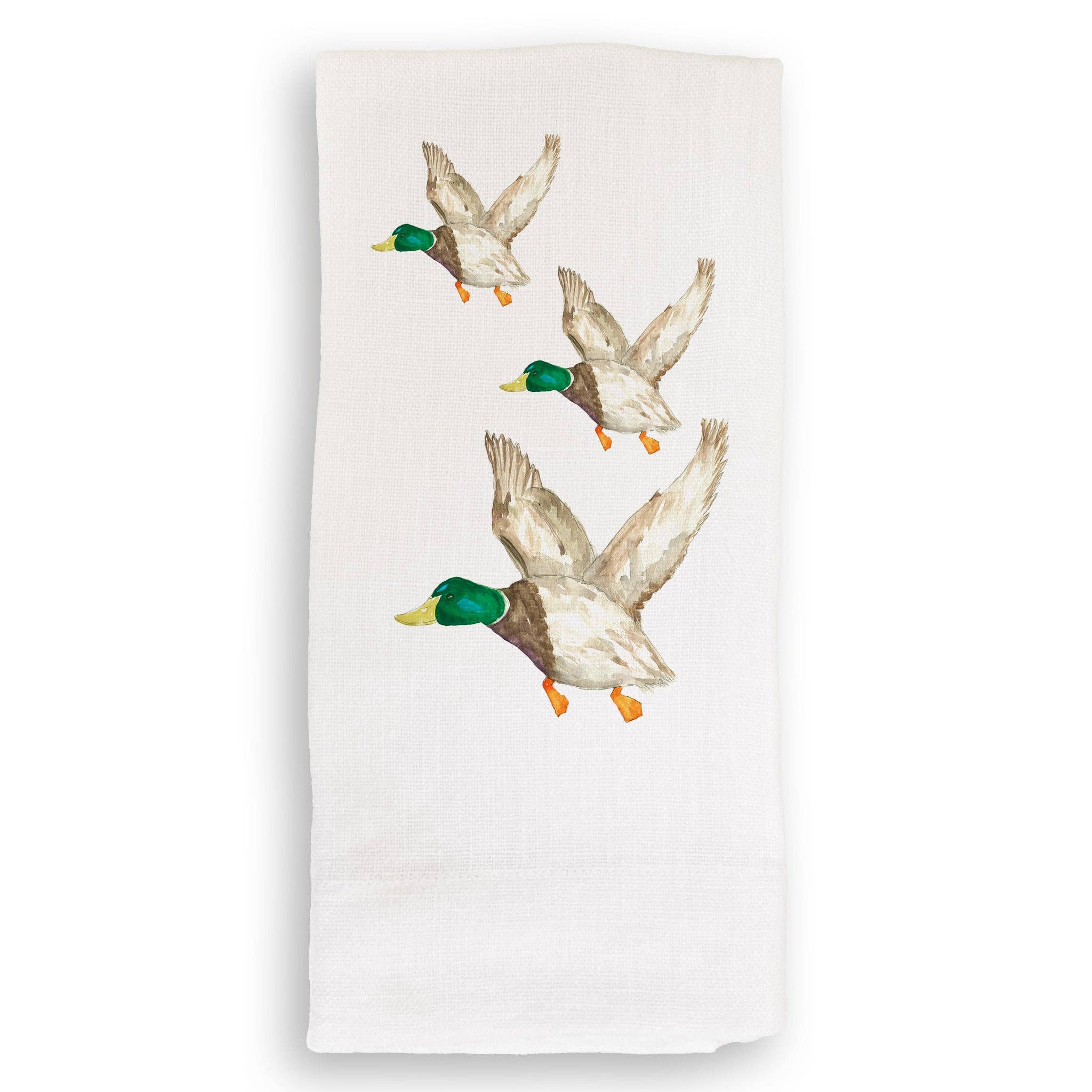 Mallard Duck