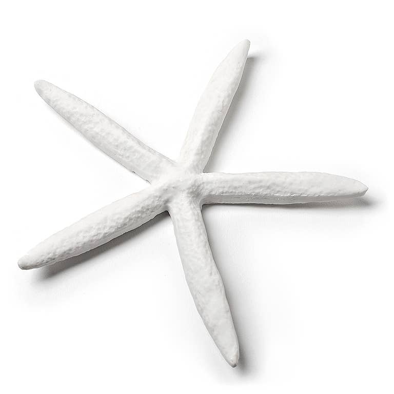 Md Simple Starfish-White-6" W