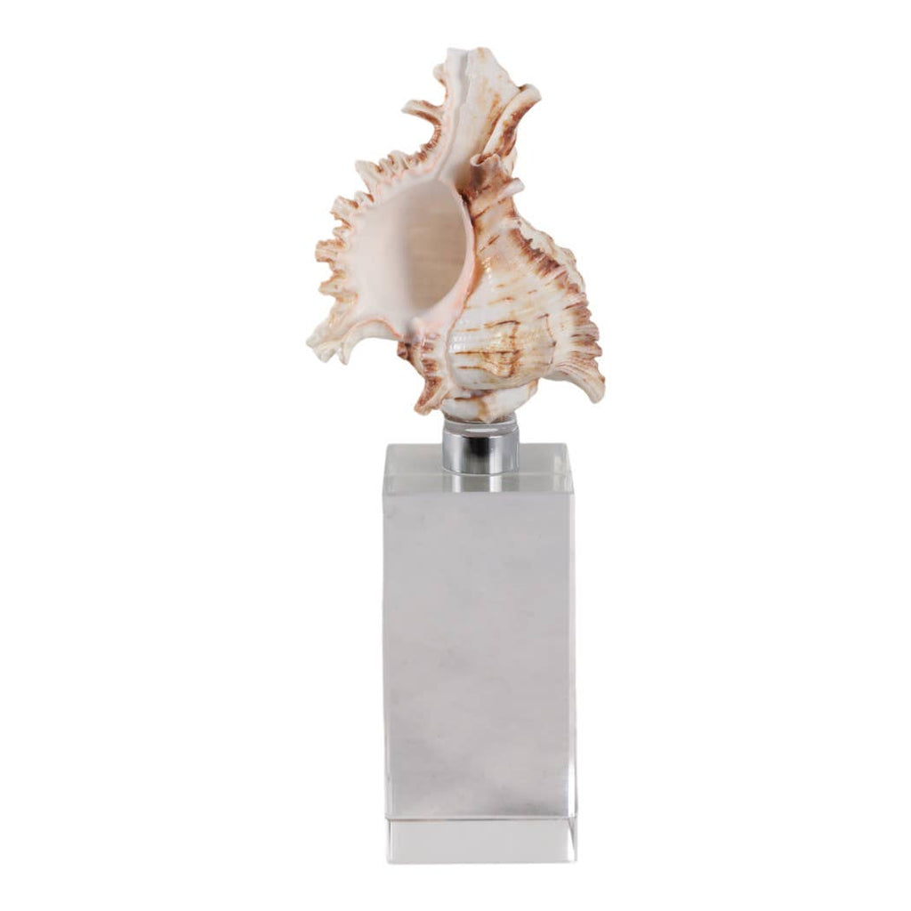 Sculpture - Ivory Shell on Clear Crystal Base, 8 in.