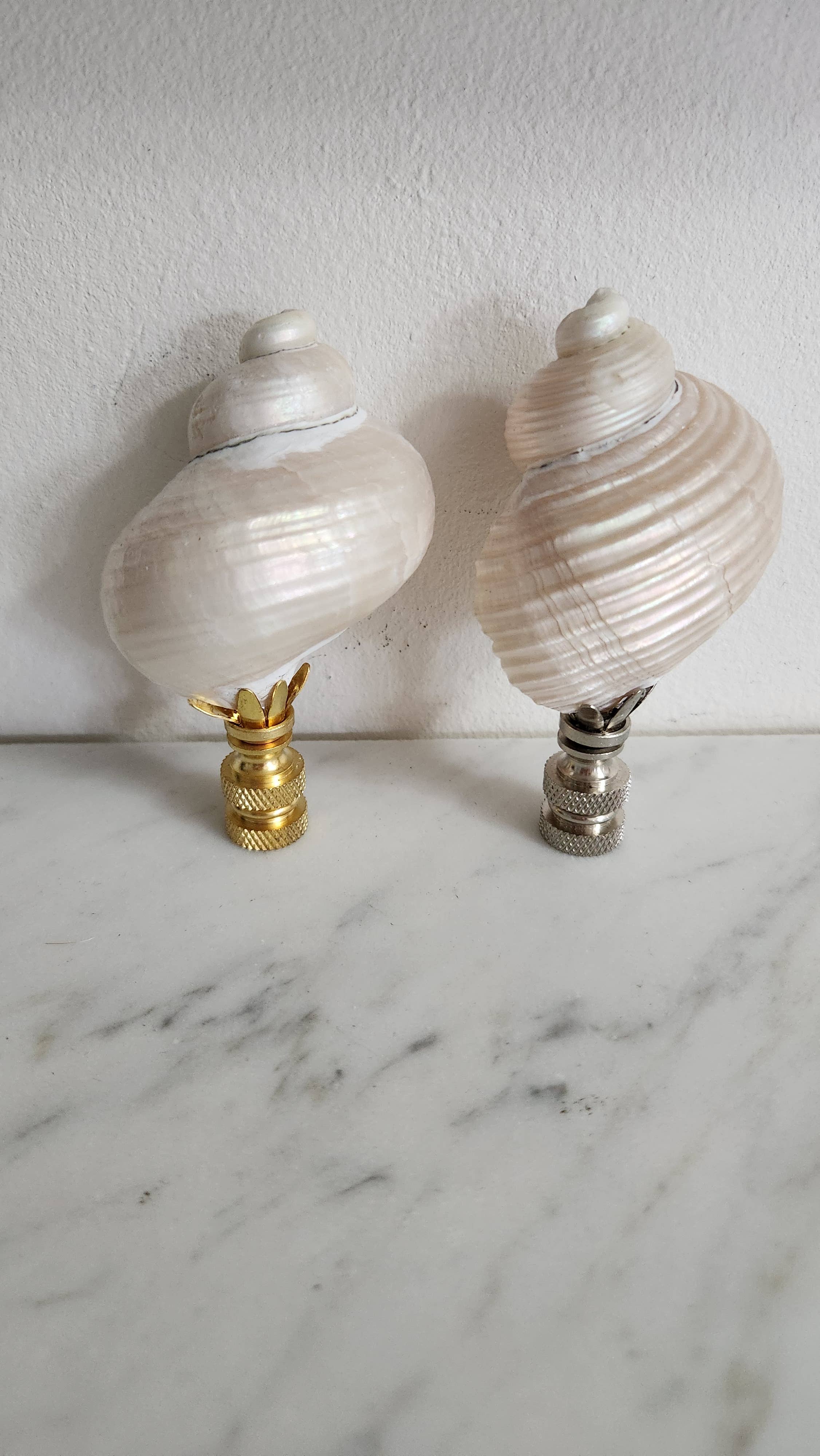 Pair, Turbo Pearl Setosus Sea Shell Lamp Finial, Set of 2
