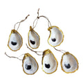 Contemporary Gilded Rimmed Oyster Shell Ornaments, Set of 6