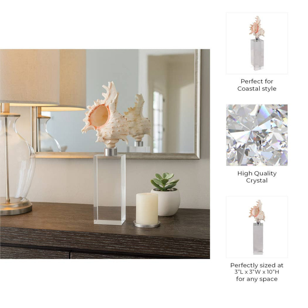 Sculpture - Ivory Shell on Clear Crystal Base, 10 in.