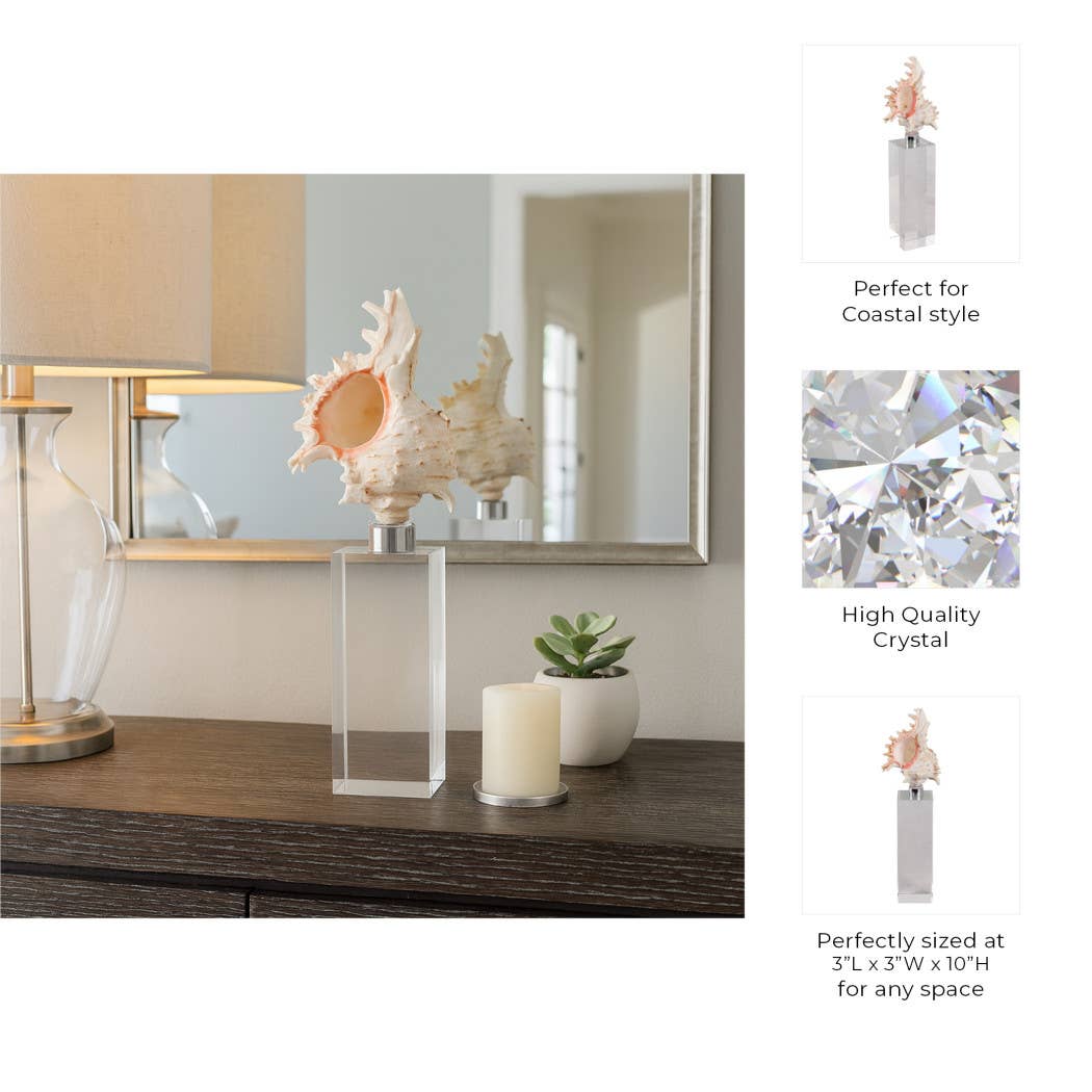Sculpture - Ivory Shell on Clear Crystal Base, 10 in.